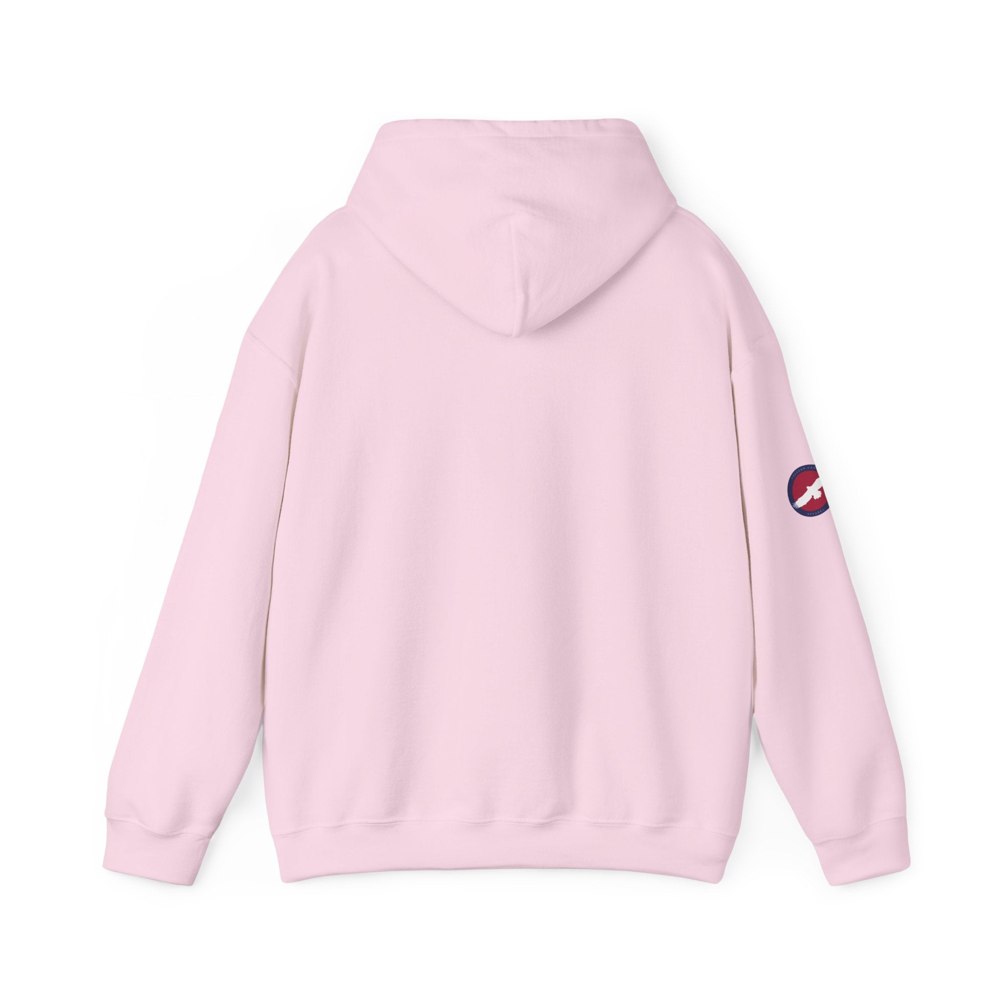 Hoodie — "Keep Your Pronouns Out Of Our Schools" Statement Pullover