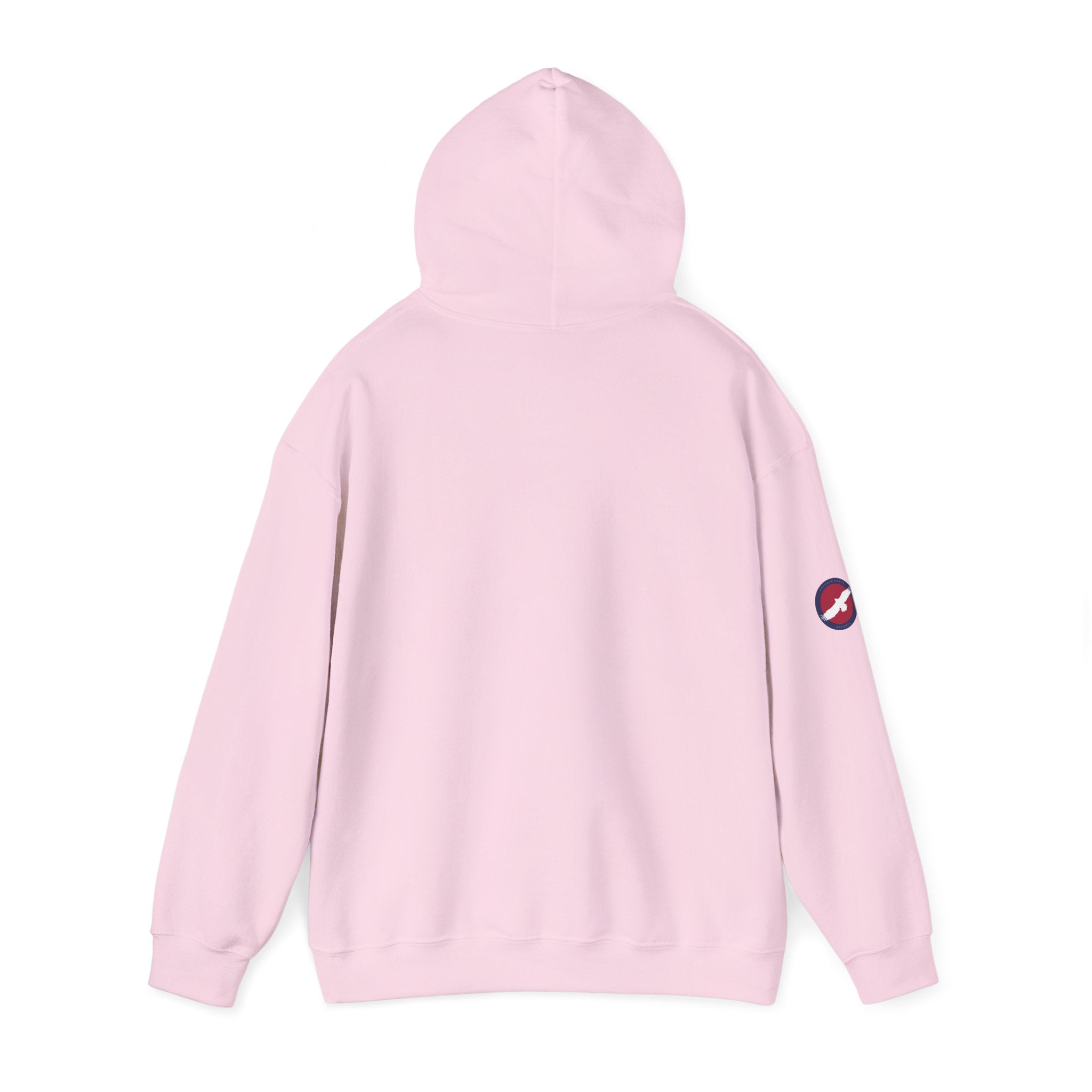 Hoodie — "Keep Your Pronouns Out Of Our Schools" Statement Pullover