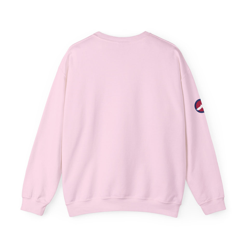 Crewneck Sweatshirt — "Keep Your Pronouns Out Of Our Schools" Statement Pullover