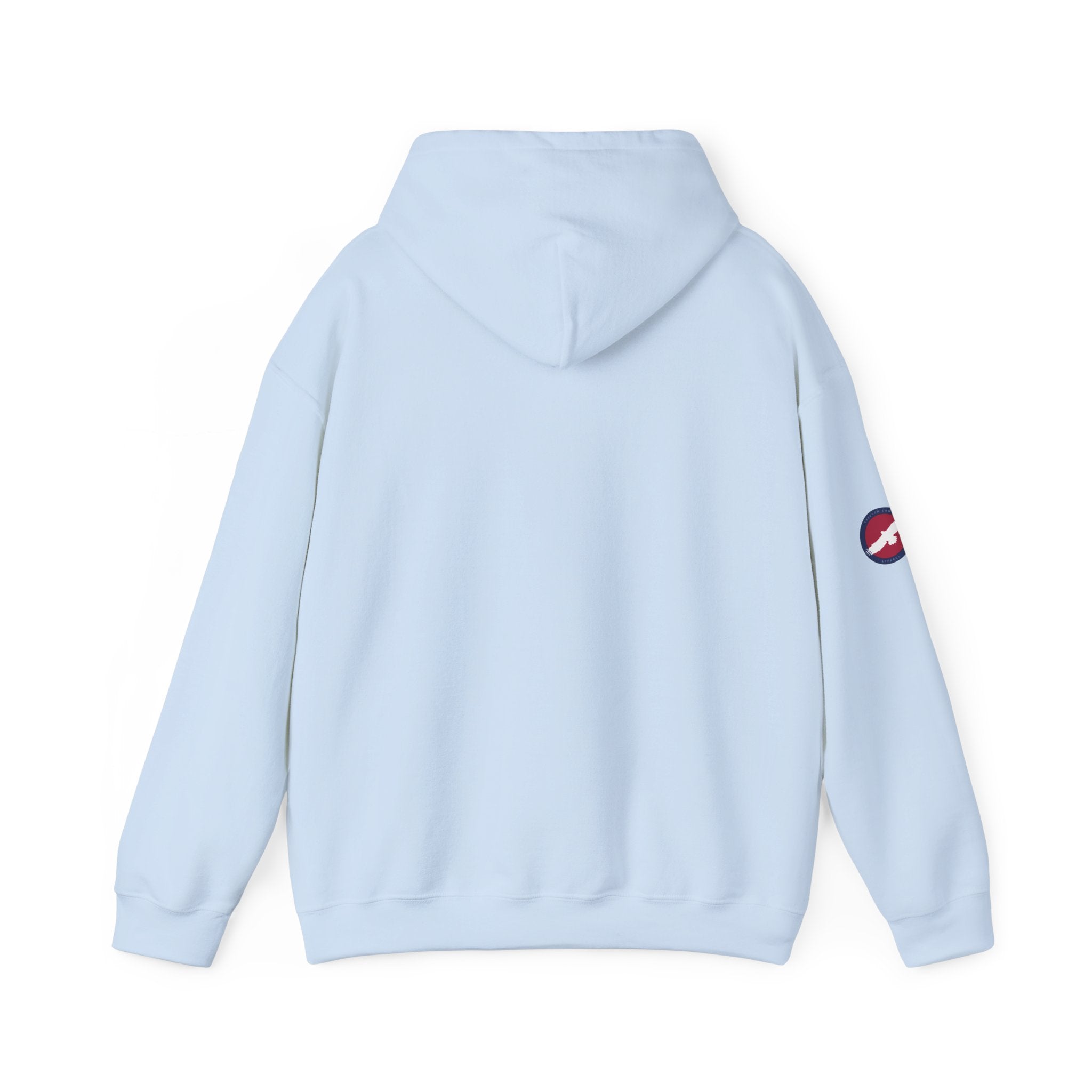 Hoodie — "Keep Your Pronouns Out Of Our Schools" Statement Pullover